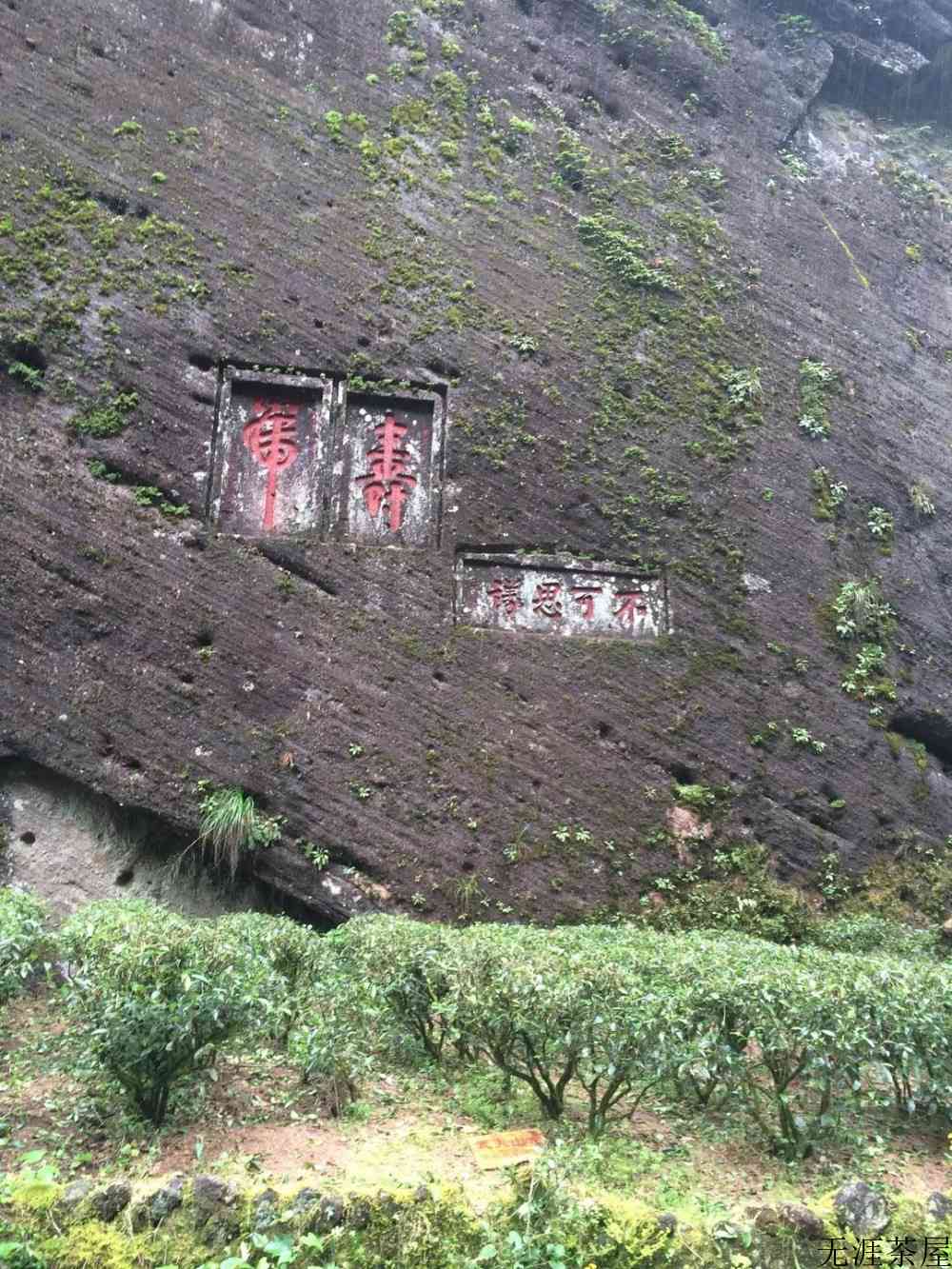 大红袍的产地是什么地方