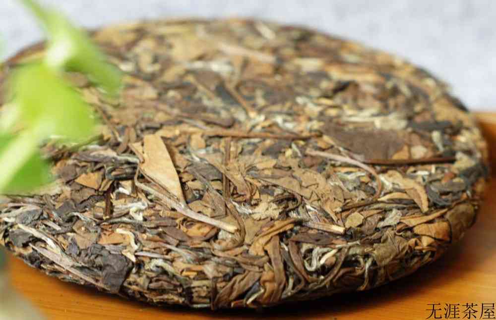 福建白茶属于什么茶
