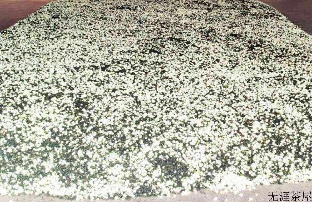 茉莉花茶是红茶吗