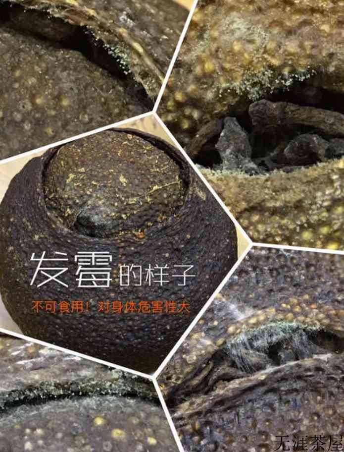小青柑普洱发霉了怎么办