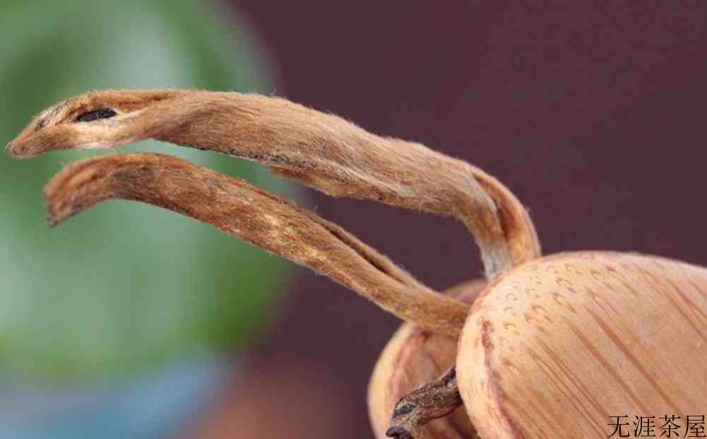 大金牙是什么茶