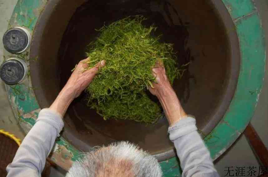 安吉白茶是发酵茶吗
