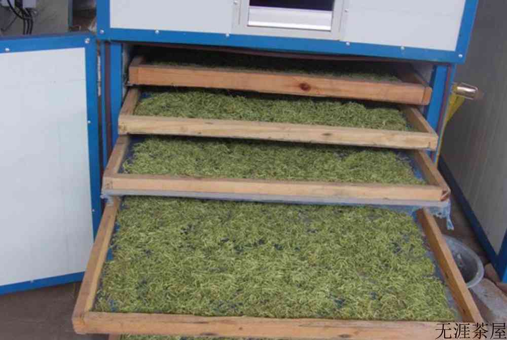 安吉白茶是发酵茶吗