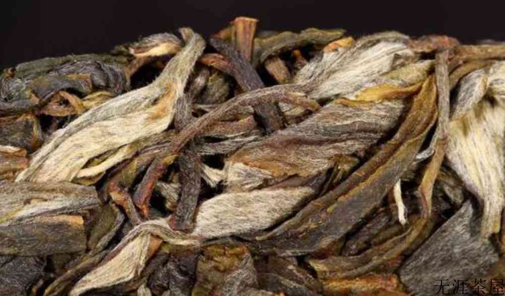 古树茶和普洱茶的区别