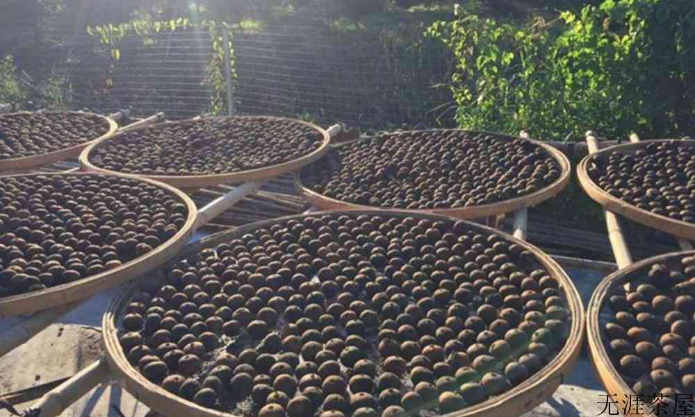 新会小青柑是熟茶还是生茶