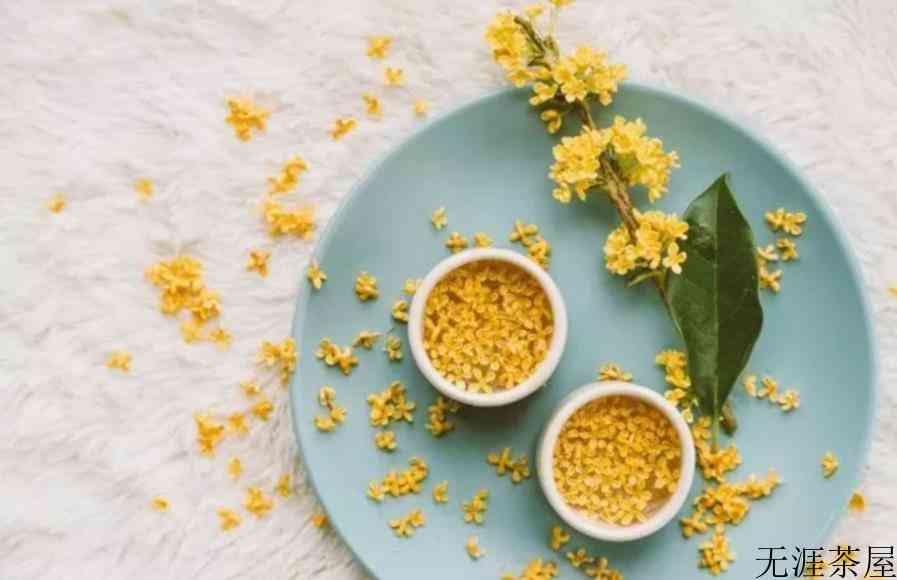 花果茶温性的有哪些