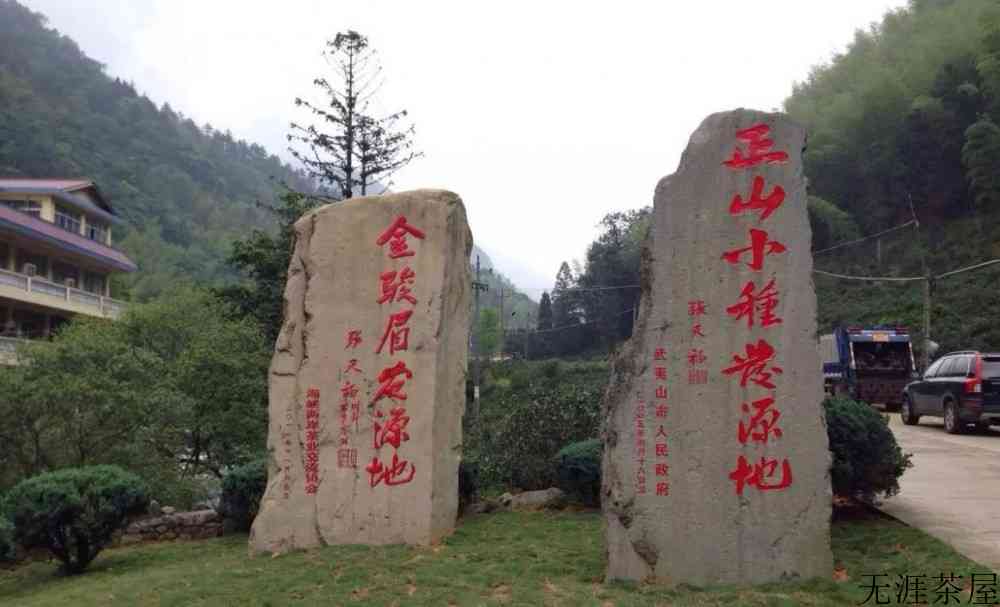 金骏眉属于红茶吗