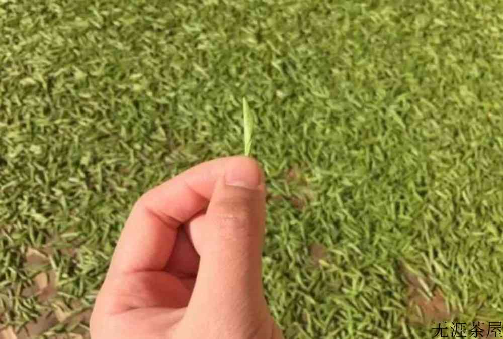 金骏眉茶叶什么颜色的