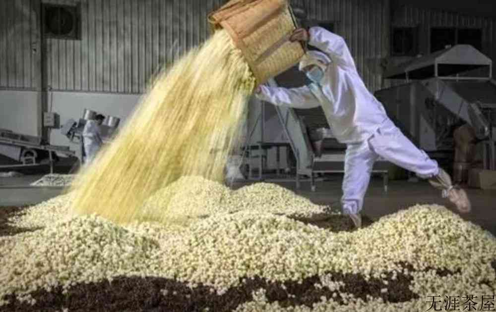 茉莉花茶是热性还是凉性