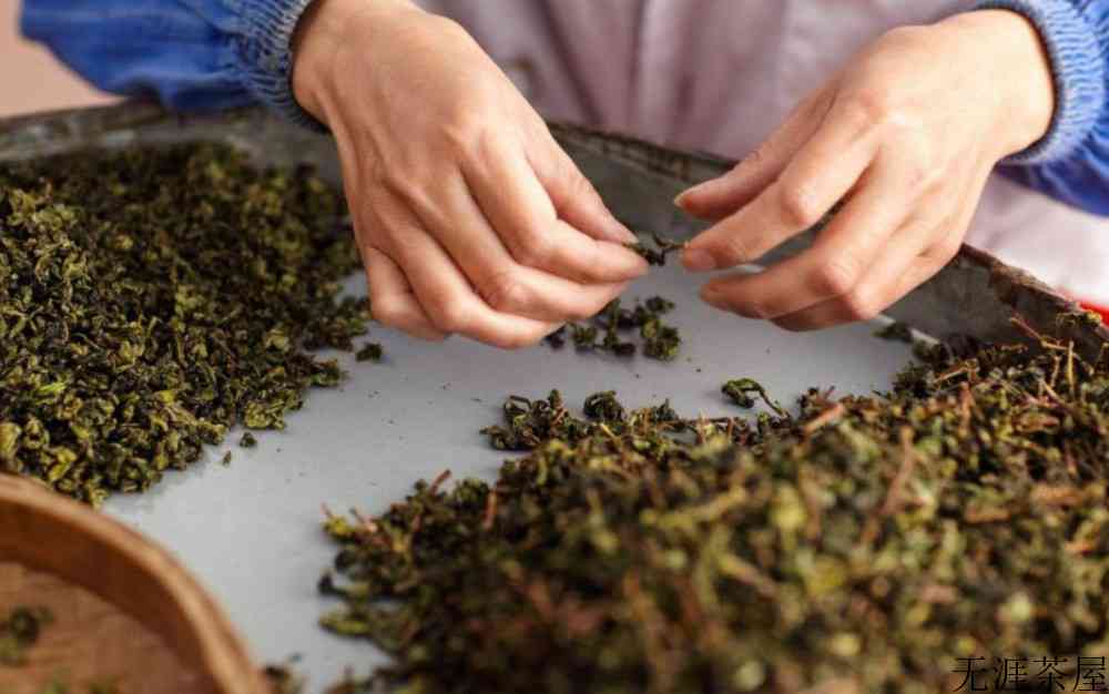 铁观音是不是发酵茶
