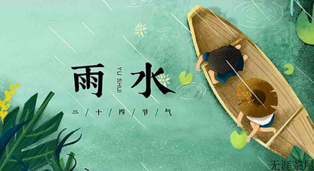 雨水喝什么茶
