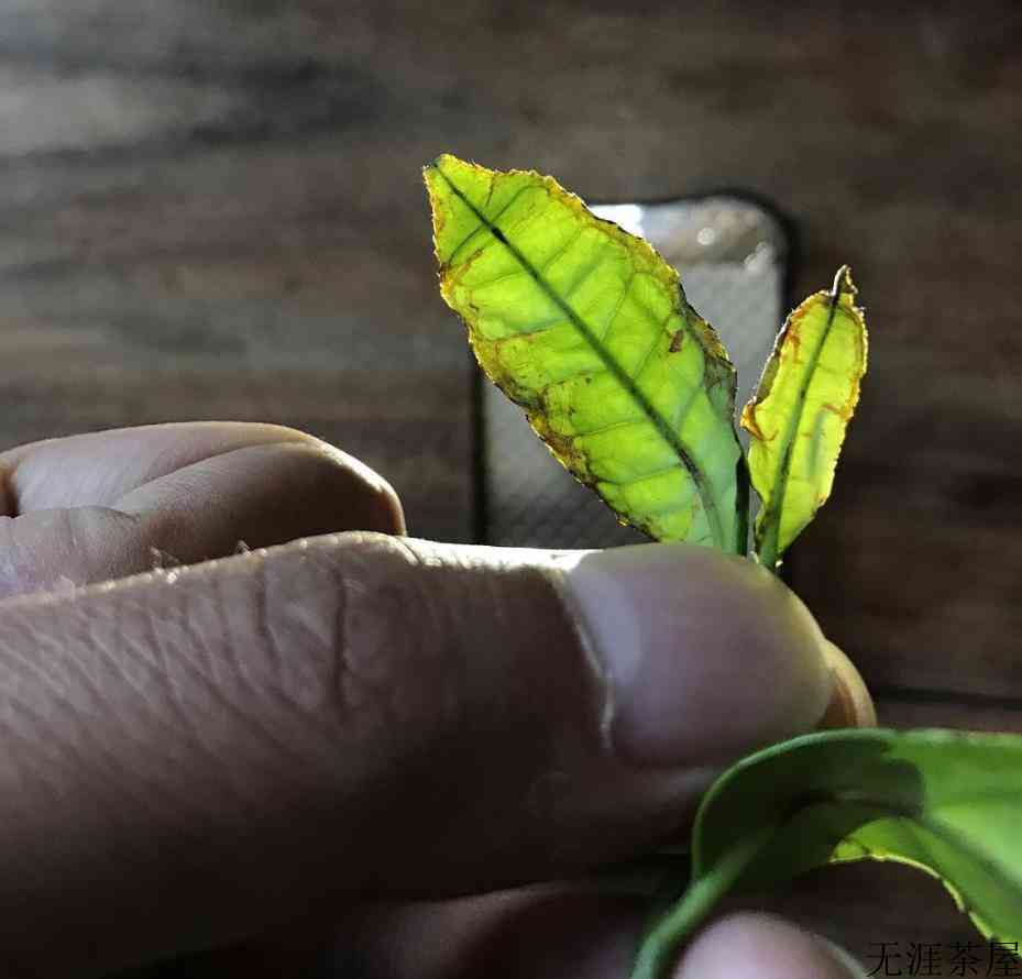 正山小种与大红袍的区别