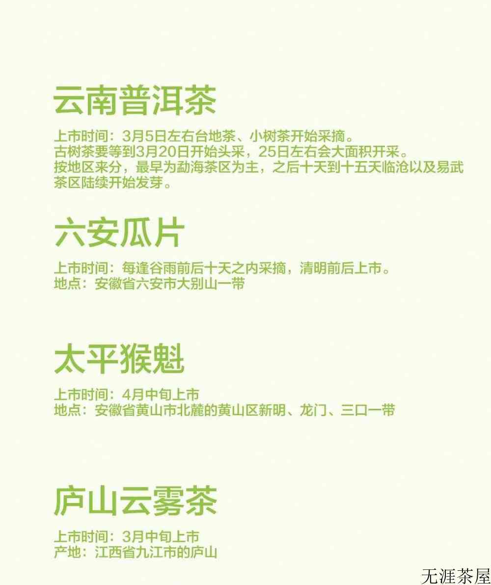 春茶几月份开始采摘