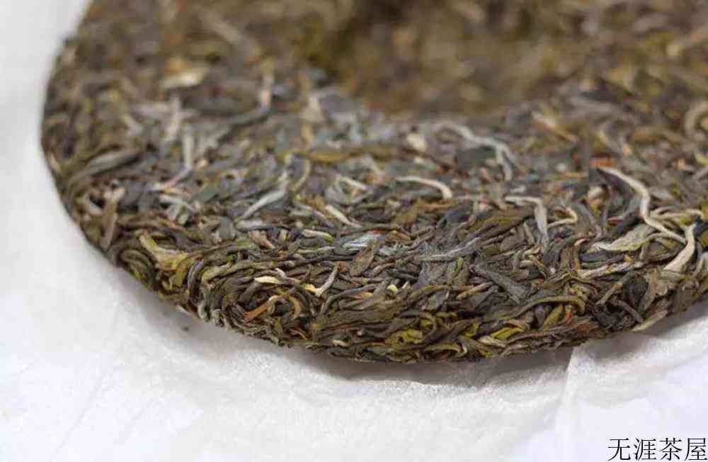 春茶几月份开始采摘