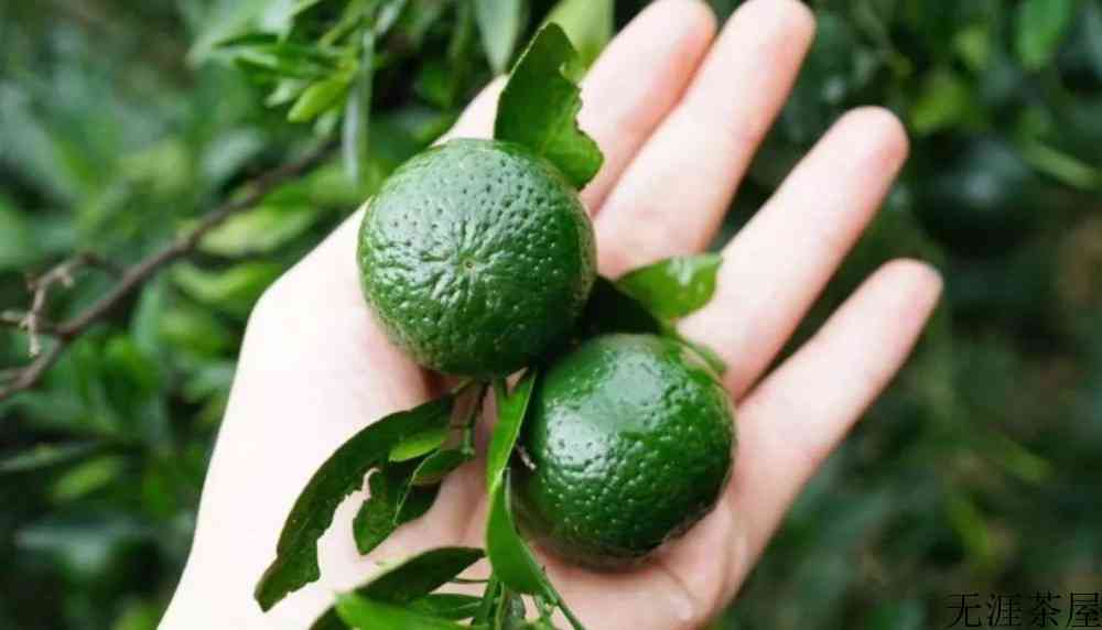 小青柑茶怎么样