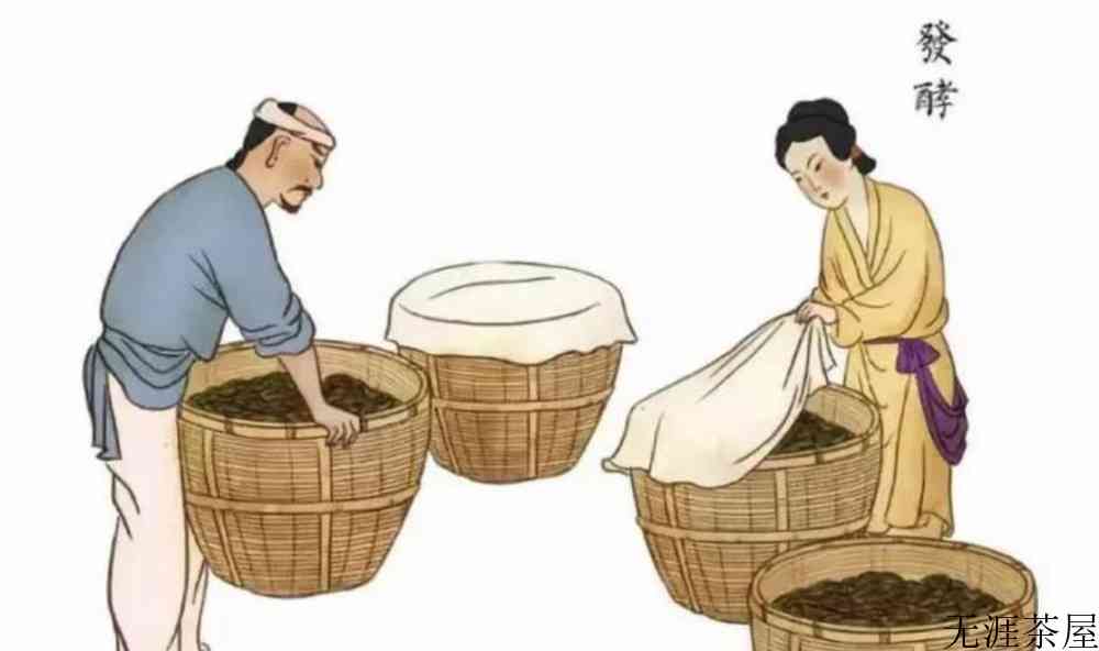 喝红茶和绿茶的区别