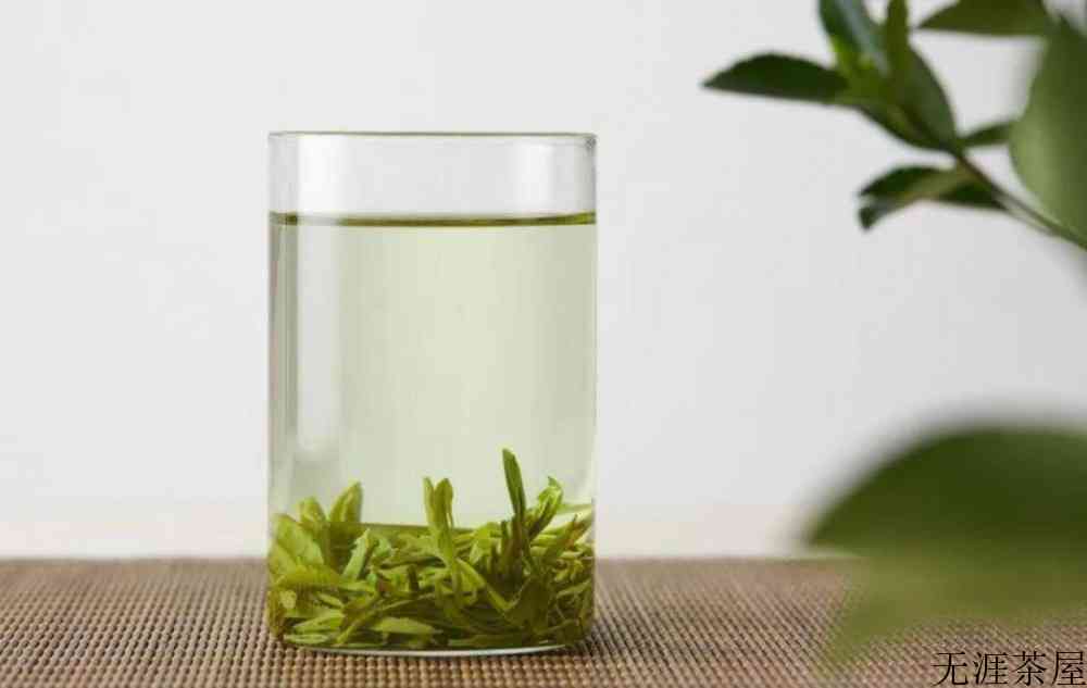 明前茶比较苦还是明后茶