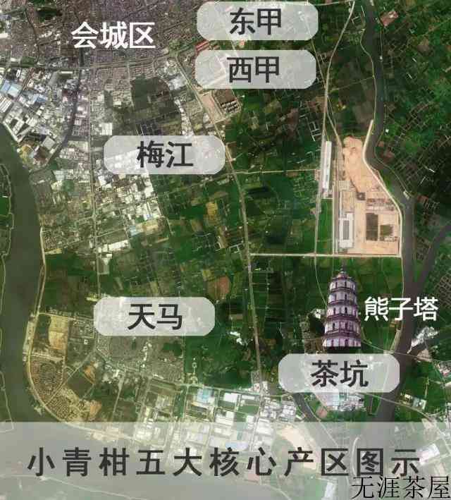 小青柑一般多少克一个