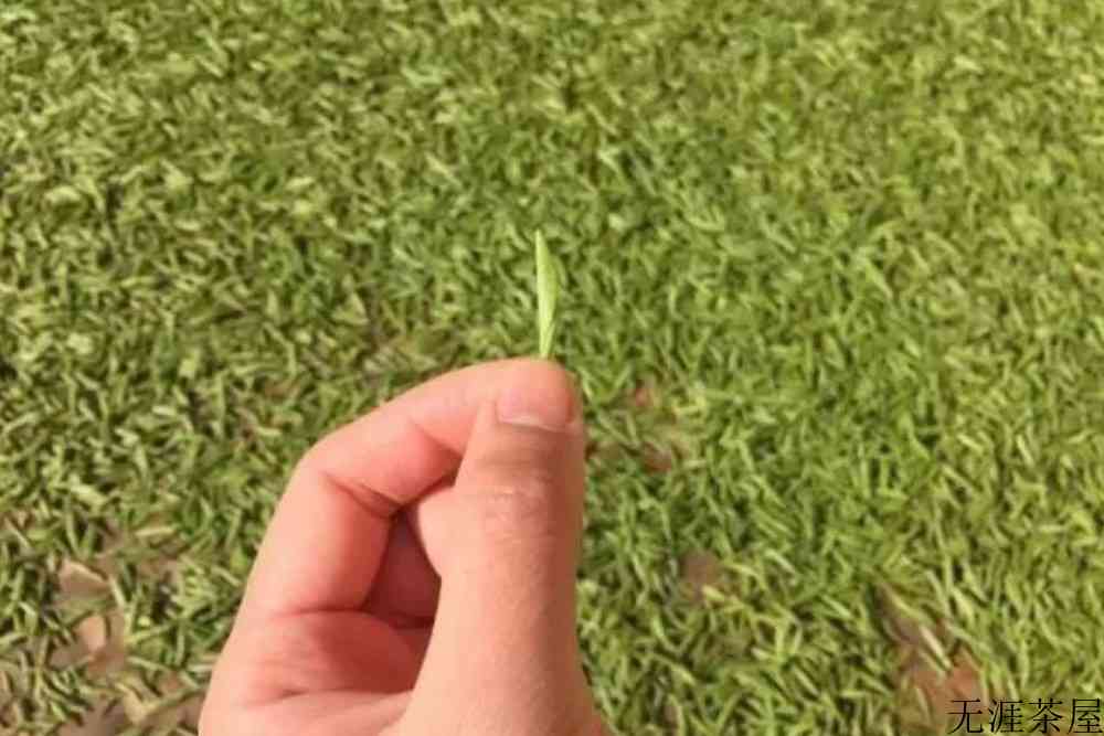 最好的金骏眉产地