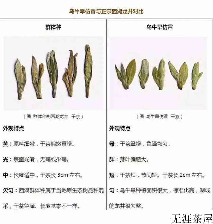 西湖龙井明前茶上市时间