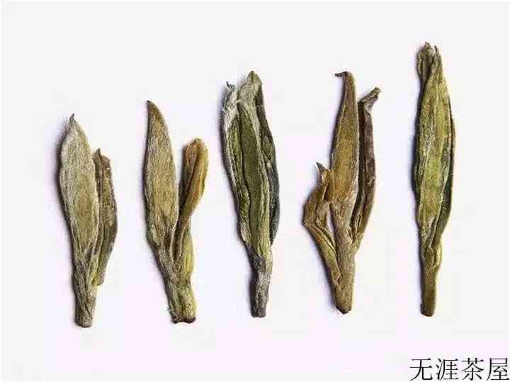 西湖龙井明前茶上市时间