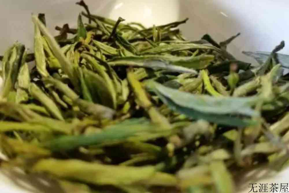 毛尖属于凉性还是热性