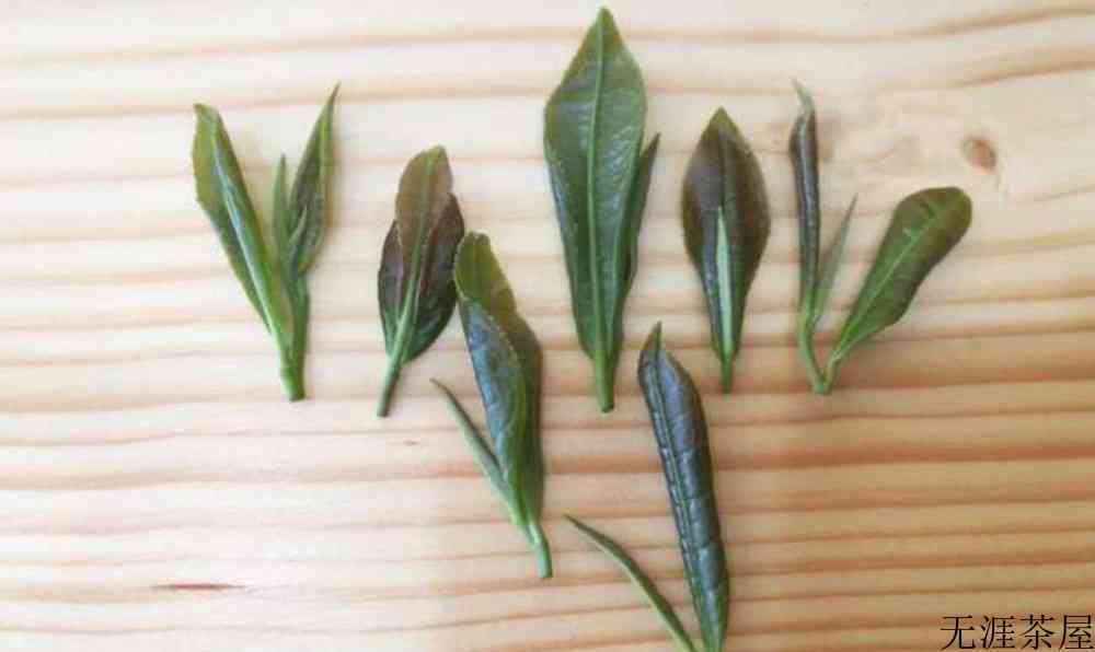 菜茶是什么意思