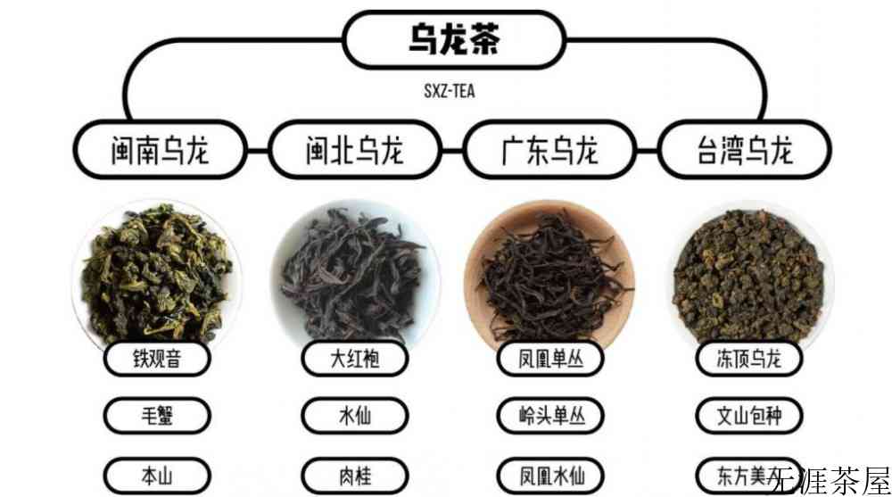 青茶有哪些品种及产地