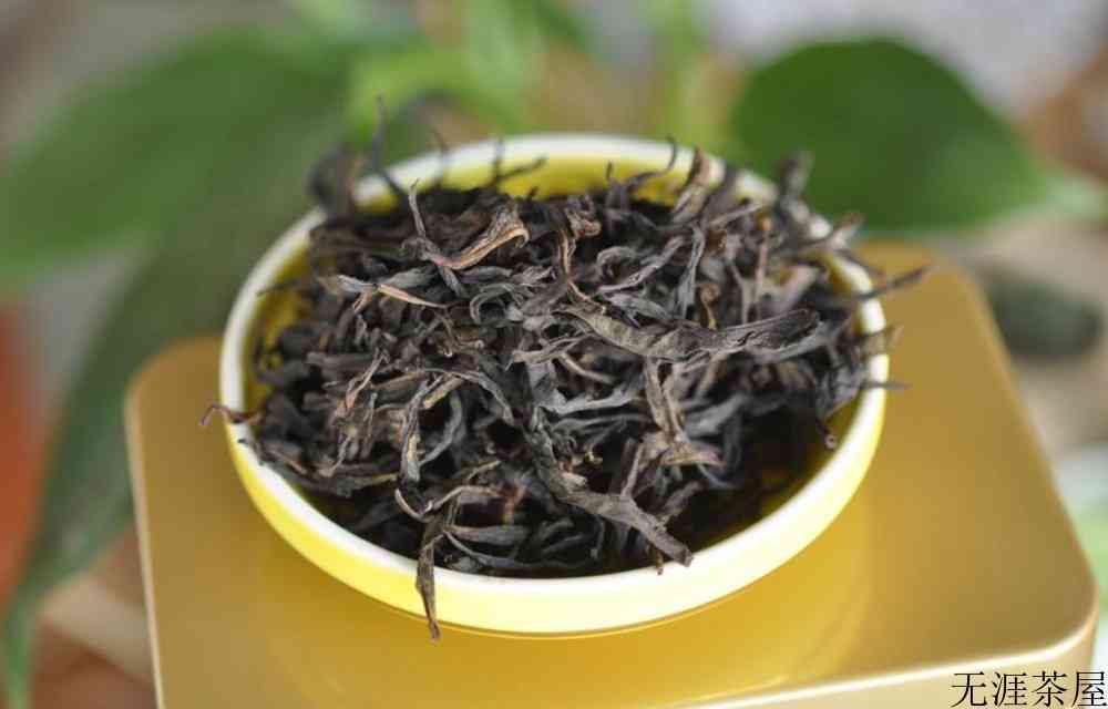 青茶有哪些品种及产地