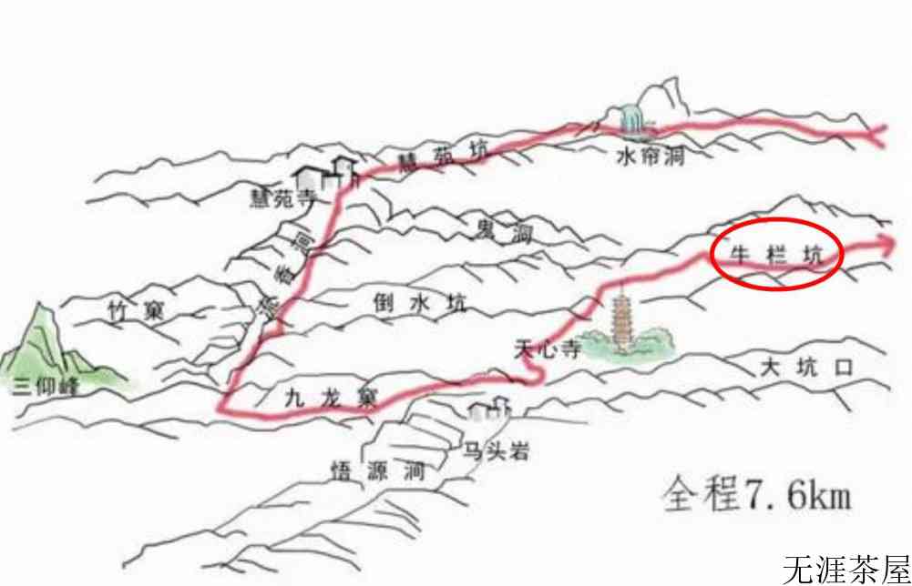 牛肉茶属于什么茶
