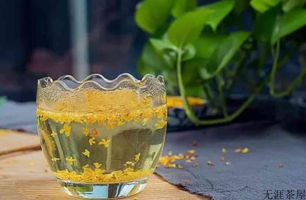 桂花茶可以天天喝吗