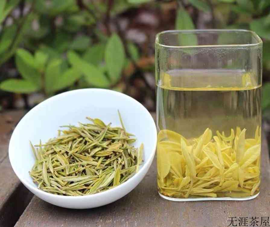 黄金芽茶叶的功效与作用