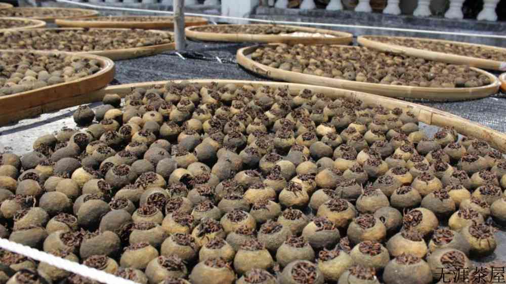 夏天能喝小青柑茶吗
