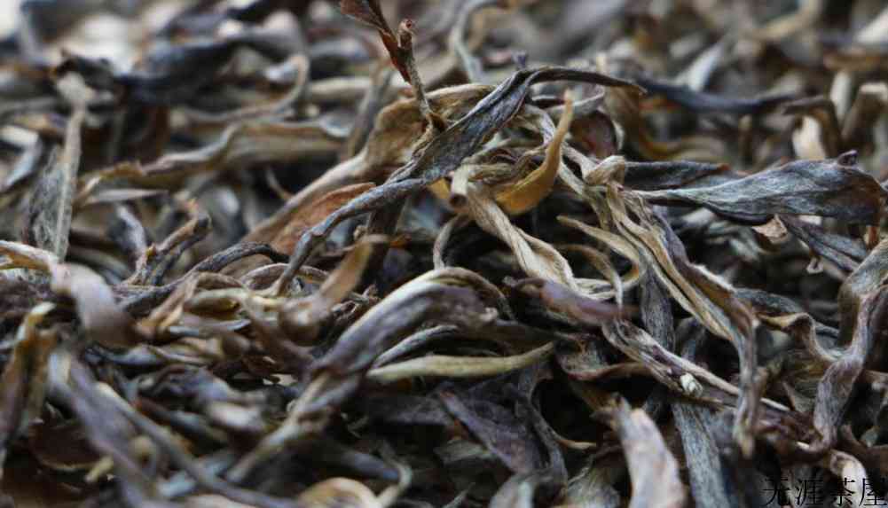 困鹿山普洱茶是哪个产区