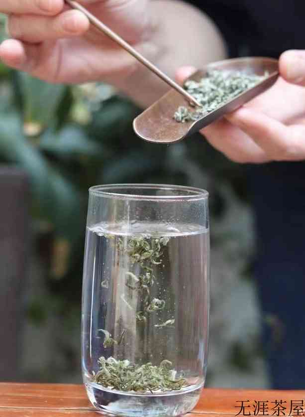 明前碧螺春怎么泡