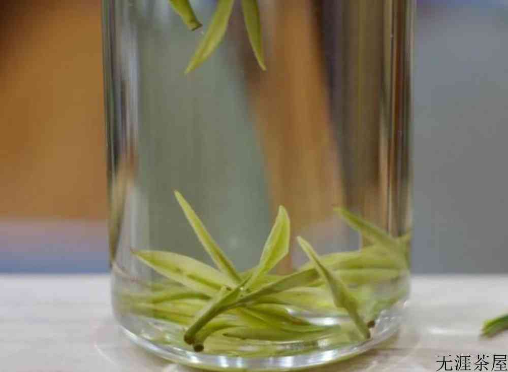 松阳白茶和安吉白茶的区别