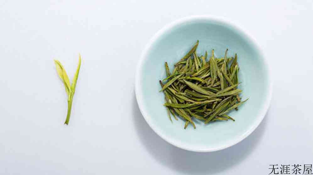 松阳白茶和安吉白茶的区别