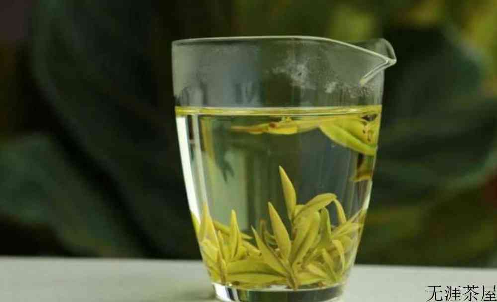 松阳白茶和安吉白茶的区别