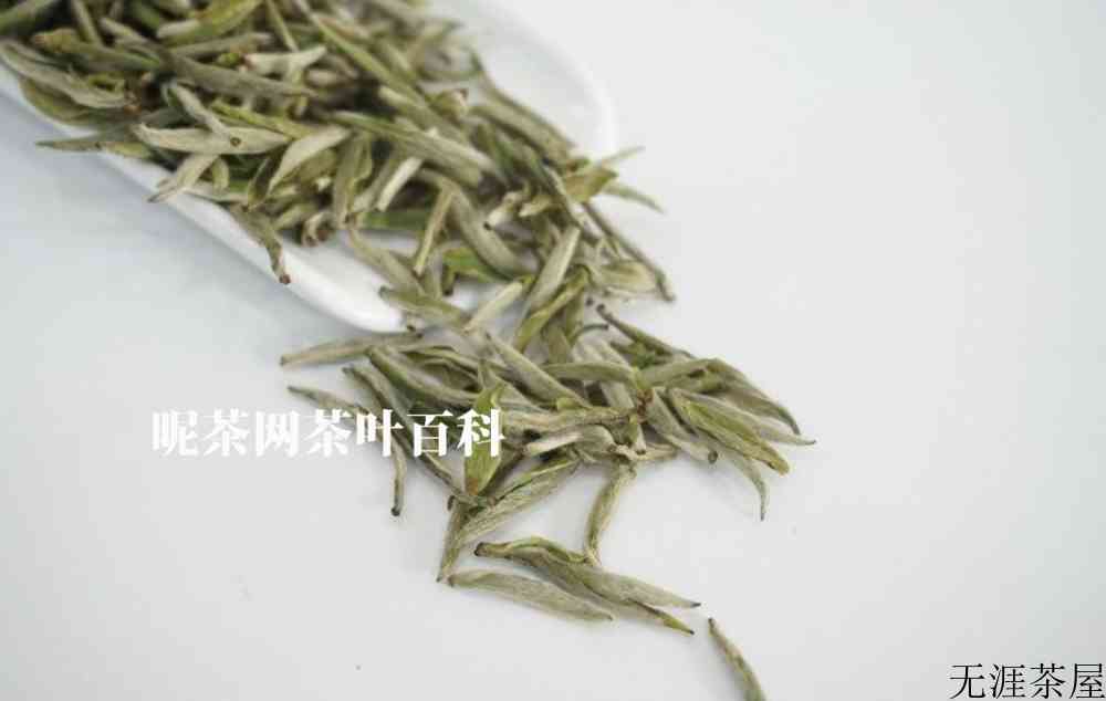 白茶茶饼和散茶的区别