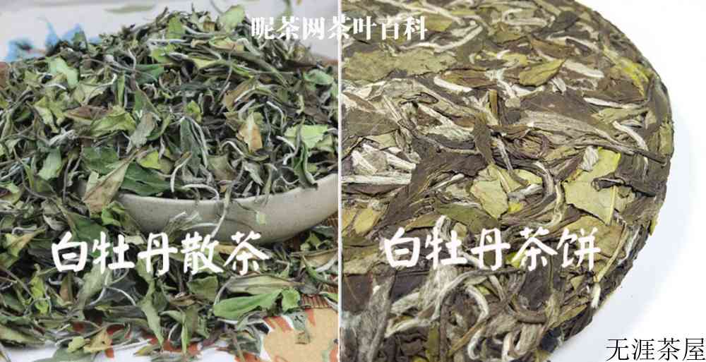 白茶茶饼和散茶的区别