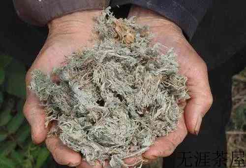 白蒿怎么做茶叶
