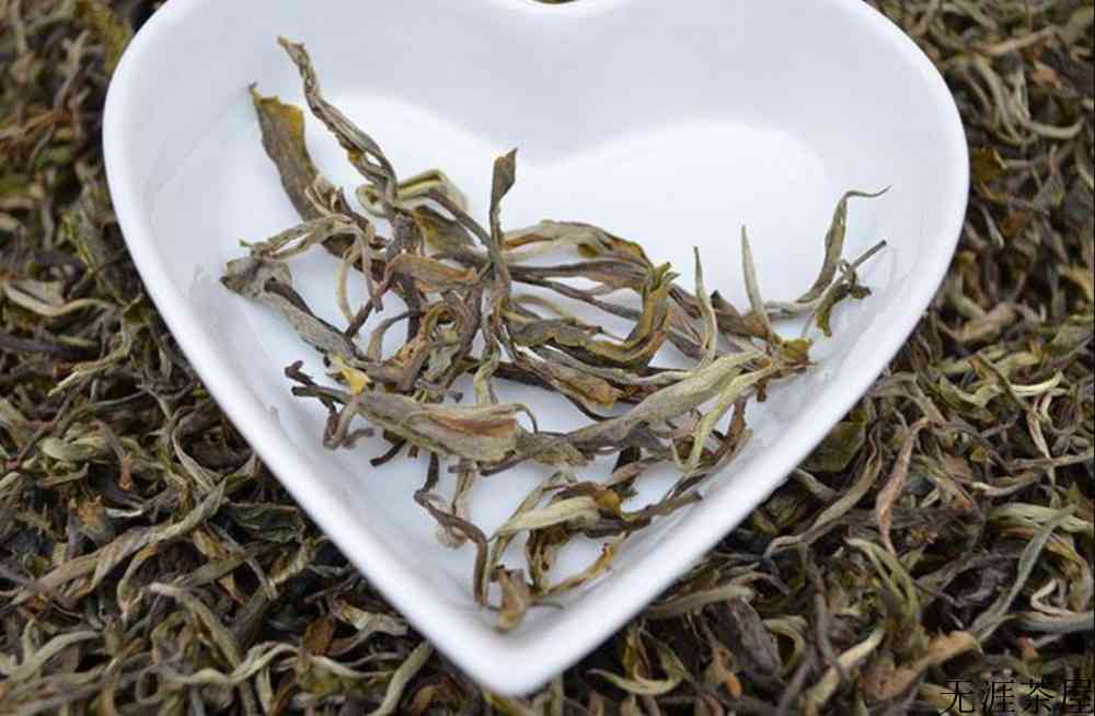 大雪山普洱茶产地在哪里