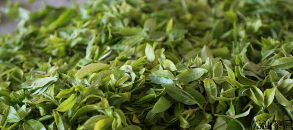单株古树茶的特点