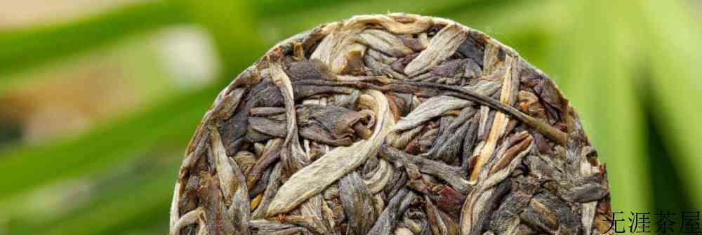 广别古树茶的特点