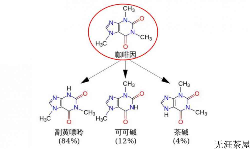 喝茶的兴奋效果持续几个小时
