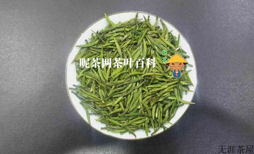 雀舌茶产地哪里较正宗