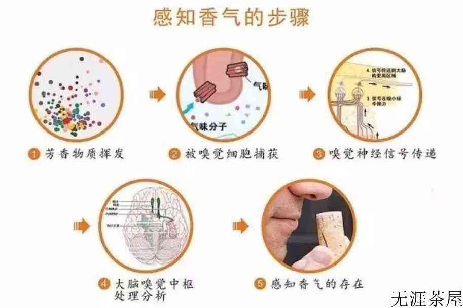 什么茶叶容易放香精