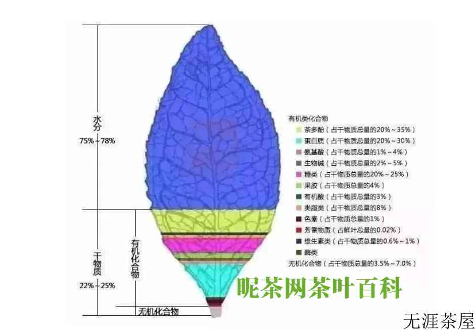 茶叶中含有哪些主要有机物