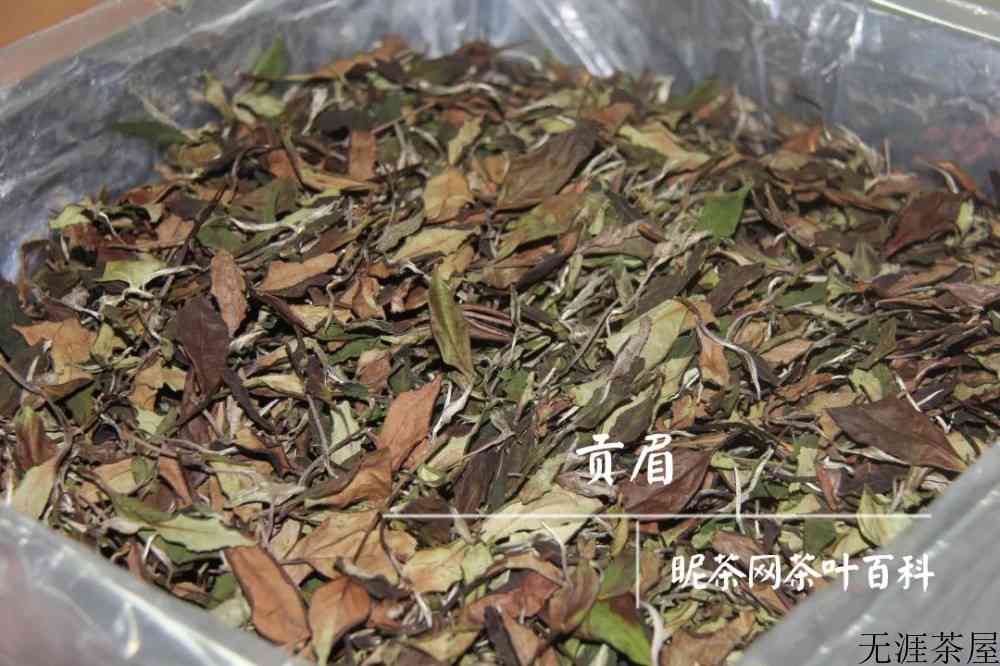 月光白属于白茶还是普洱茶