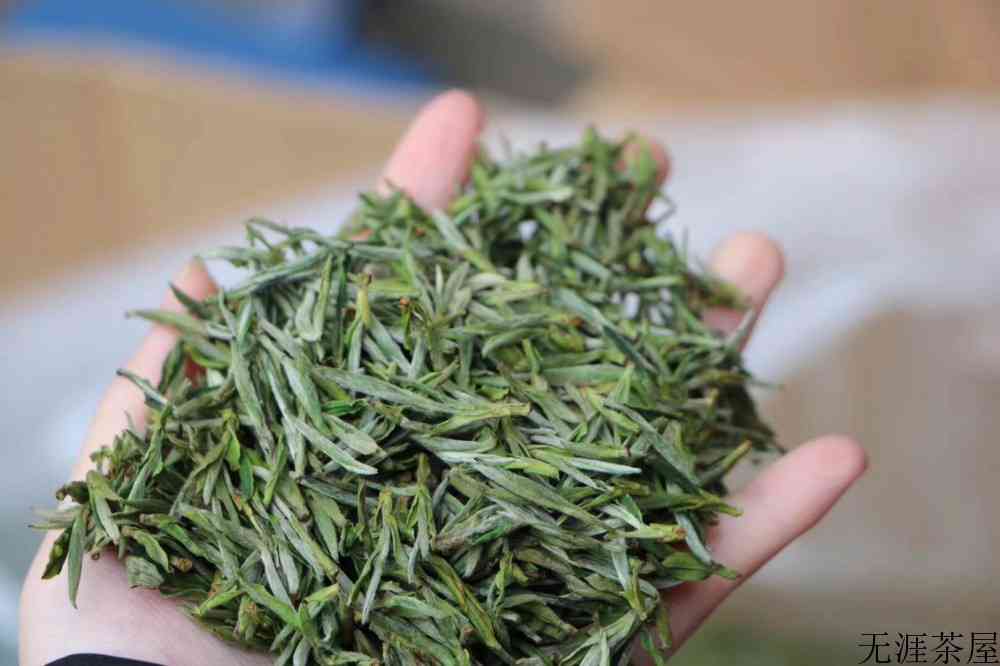 春茶是红茶还是绿茶